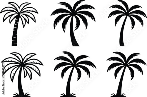 Palm Tree Silhouette Design for Tropical Artwork. Elegant Palm Tree Silhouette Illustration. Minimalist Palm Tree Silhouette Artwork. Palm Tree Silhouette for Beach Projects. Exotic Palm Tree