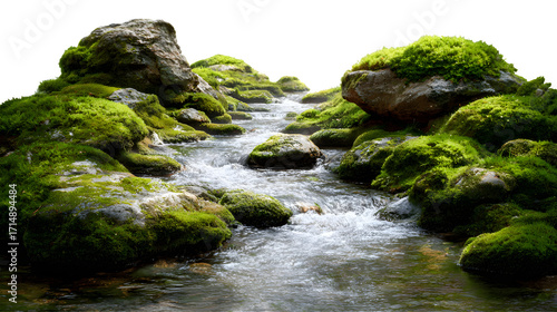 Mossy stream and rocks isolated on white background