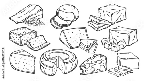 Hand drawn set of assorted cheeses including parmesan, mozzarella, gouda, cheddar, emmental, and havarti. Engraved line art style. Vector illustration for packaging, recipe books, or culinary design.