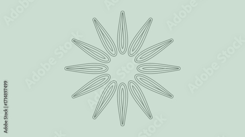 A symmetrical design with elongated shapes radiating from a central point on a light green background