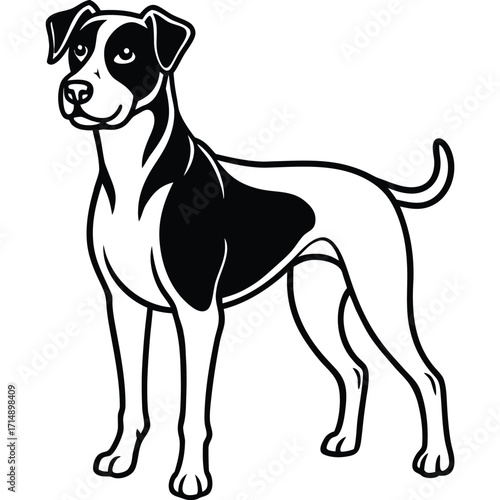 Diverse collection of dog breed animal illustrations for graphic design projects