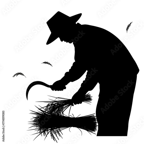 Farmer harvesting rice with sickle silhouette isolated on white background