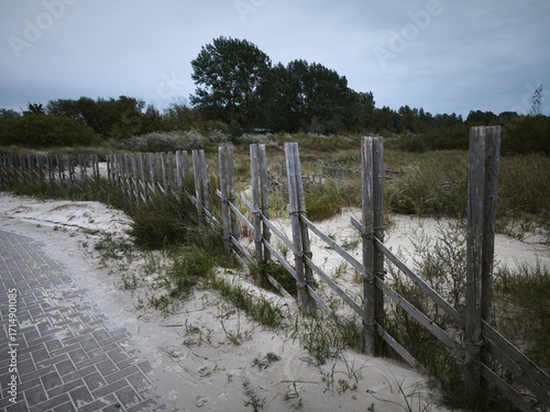 Εκτύπωση καμβά Rustic wooden fence bordering sandy beach dunes with grass and shrubs, leading towards trees under a cloudy sky, preserving the natural coastal landscape