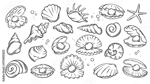 Sea and beach shells line icons set. Outline hand drawn seashells collection with starfish and scallop, oyster with pearl and conch. Nature mascots, aquatic simple shells icons vector illustration
