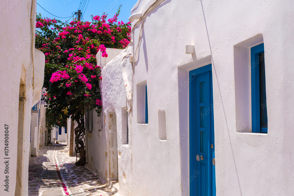 Naklejka premium Parikia street with blooming bougainvillea tree