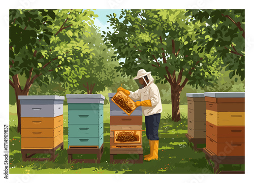 Beekeeper Inspecting Hive Vector Illustration