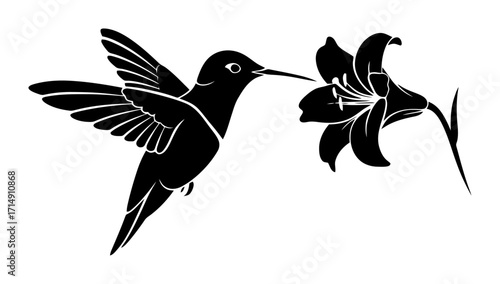 Hummingbird & Lily Vector, Minimalist Design