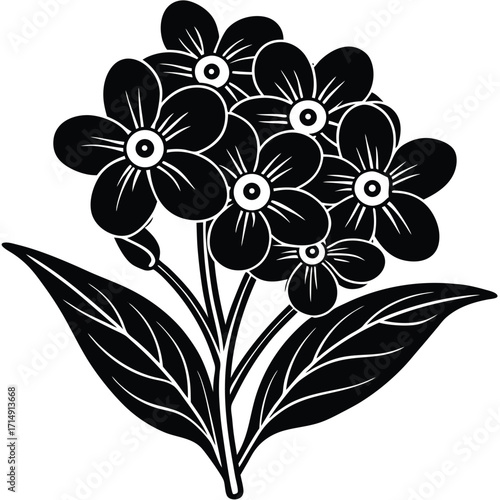 forget me not vector on white background