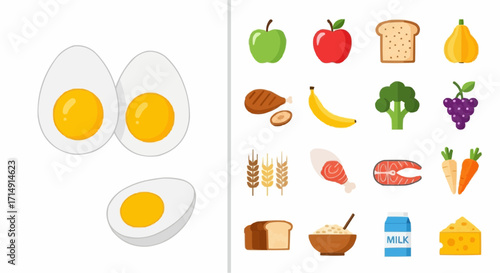 Healthy eating healthy eating food groups vector illustration of balanced diet including fruits vegetables protein and dairy products vector