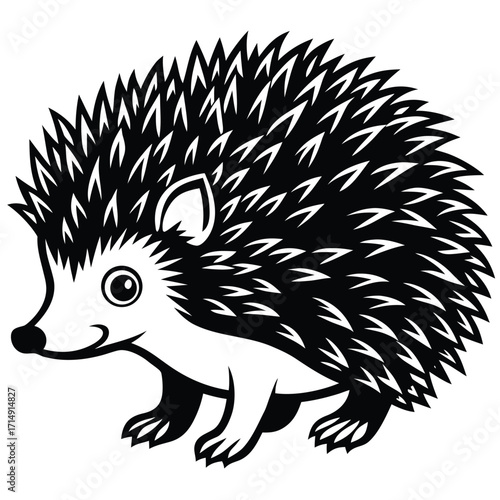 hedgehog vector on white background