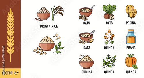 Healthy eating healthy food grains and seeds illustration featuring brown rice oats quinoa and other nutritious foods diet plan vector
