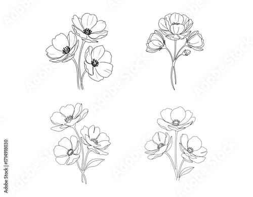 Elegant Floral Line Art Compilation Delicate Botanical Illustrations and Monochrome Flower Drawings for Creative Projects and Designs