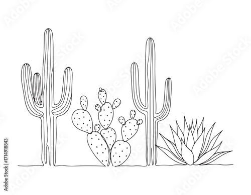 Serene Desertscape Featuring Saguaro Cactus, Prickly Pear, and Agave Plant in Minimalist Line Art Design Capturing Southwestern Flora