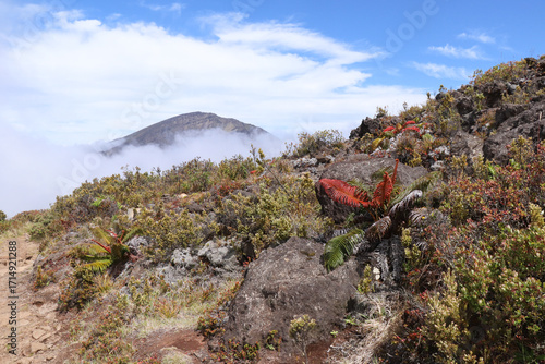 Photography Hiking Trail to Haleakalā  Crater