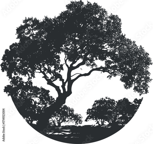 A striking silhouette of trees forming a circular shape representing nature and tranquility.