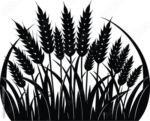 Barley Field Silhouette Illustration | Barley Field Vector Design