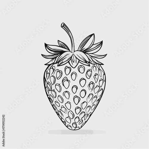 Watermelon slice with pink flesh and green rind on grey background  