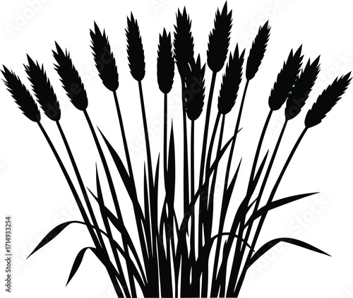 Reed Cluster Silhouette Illustration | Reed Cluster Vector Design