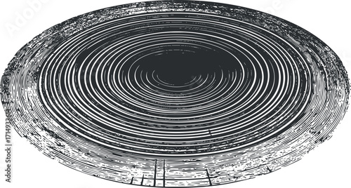 Cross-section of a tree trunk showcasing intricate growth rings and natural wood texture.
