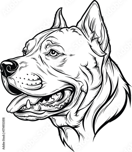 Detailed Black and White Illustration of a Pitbull Dogs Head Profile with Open Mouth Tongue and Sharp Teeth Showing Loyalty and Power