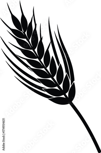 Wheat Stalk Silhouette Illustration | Wheat Stalk Vector Design