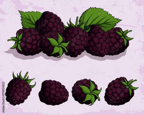 Hand drawn blackberry fruit collection with fresh ripe berries and green leaves, Natural forest berry set isolated
