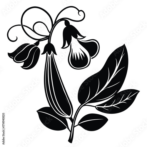 sweet pea vector  on white background