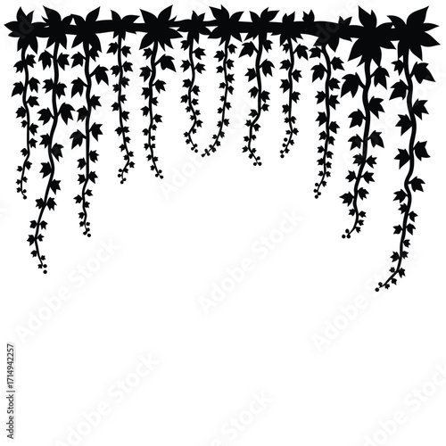 Black silhouette of hanging ivy vines with leaves vector
