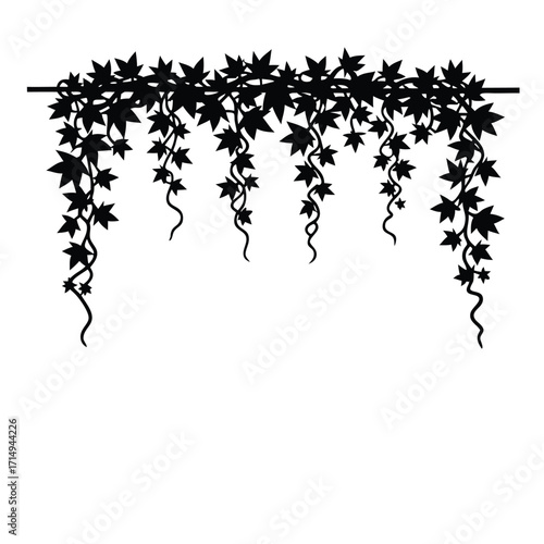 Black silhouette of ivy vines with leaves hanging down