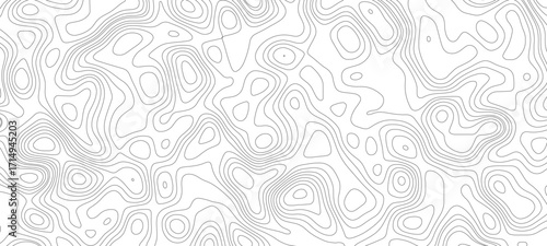 Topography background. Vector banner. Topography map background.  interlaced linework, and multi-dimensional textures 