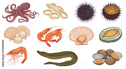Illustration of assorted seafood includes octopus squid shrimp clams scallops abalone sea urchin and eel