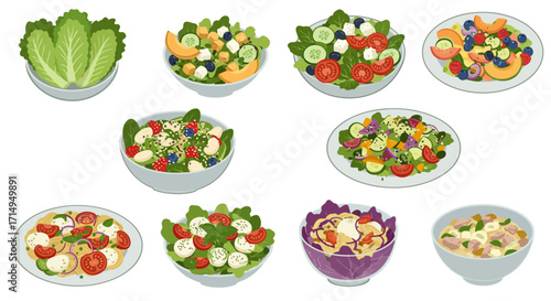 Varied salad display lettuce fruit tomatoes mozzarella cabbage tuna