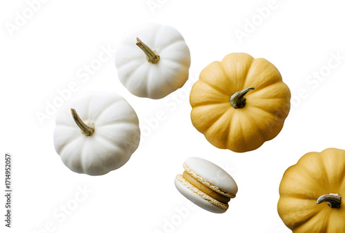 Overhead shot of white and yellow pumpkins and a white macaron on a black background top view