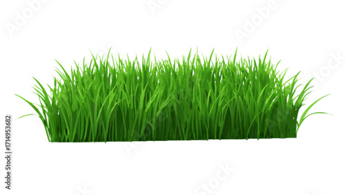 Realistic green grass lawn texture background for garden landscaping and spring design element