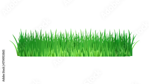 Green grass vector illustration for lawn garden meadow field nature background design element clip art
