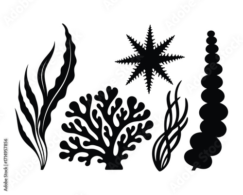 Silhouette of various sea plants including seaweed coral and other marine vegetation in black and white
