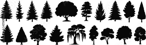 Tree silhouettes, black botanical shapes, coniferous and deciduous trees, forest symbols, willow tree, nature icons, foliage forms, vector graphics