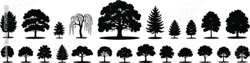 Tree silhouettes, black botanical shapes, forest icons, deciduous and coniferous trees, willow tree, nature design, foliage patterns, vector illustration