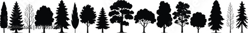 Tree silhouettes, black forest shapes, botanical icons, deciduous and coniferous trees, nature elements, landscape design, foliage forms, vector illustration