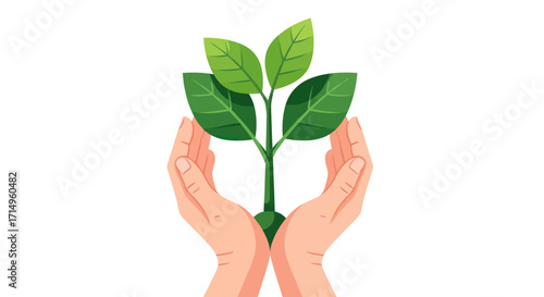 Hands Protecting a Young Plant Sprout.