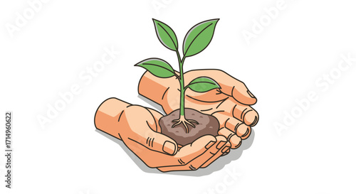 Hands Holding a Small Plant Sprout.