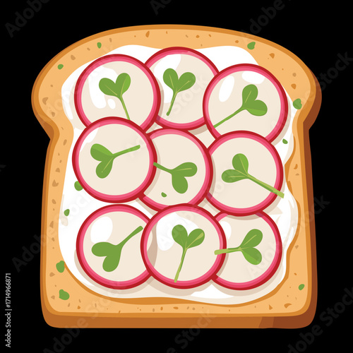 An open-faced sandwich on toasted bread topped with thinly sliced radish and fresh parsley, a simple snack - Vector Illustration
