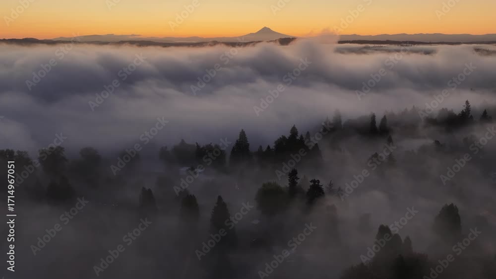 Dawn illuminates fog drifting through the forests found throughout the Willamette Valley in Oregon. The entire Pacific Northwest region is known for its vast forests and moist, temperate weather.