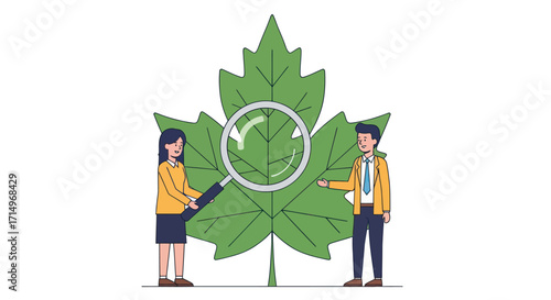 Examining a Large Green Maple Leaf with Magnifying Glass.