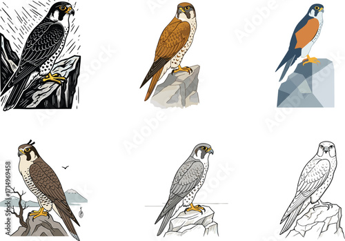 Falcon, bird, illustration, perched, rock, silhouette, wildlife, nature, raptor, eagle, predator, artistic, style, feathers, mountain