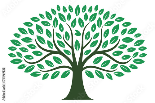 Green Tree Silhouette with Spreading Branches and Leaves nature