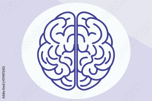 Top View Outline of Human Brain Inside Circle on Light Purple Background Keywords: brain, human brain