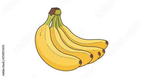 Bunch of ripe yellow bananas with green stems.