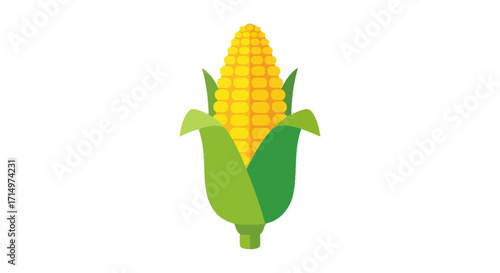 Yellow Corn Cob with Green Leaves Illustration.