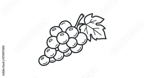 Line art drawing of a bunch of grapes with a single leaf.